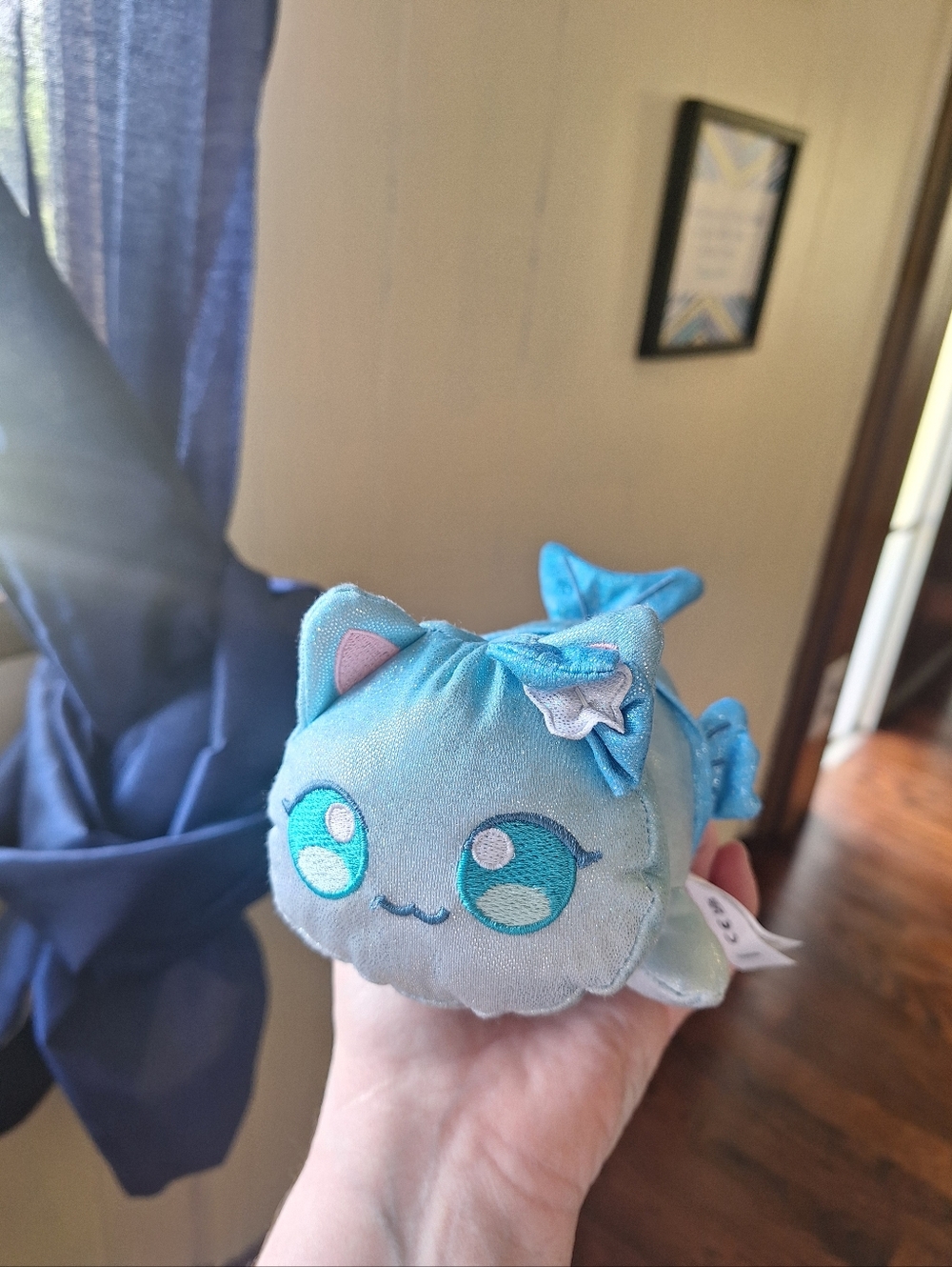 Aphmau Cat